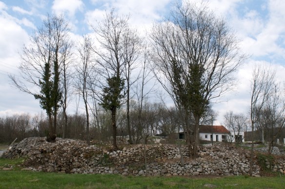 Šipkova glavica, Doci, Gornja Vitina, lokalitet prije početka arheoloških istraživanja