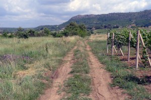 Rimska cesta preko Bungurovina, Humac, Ljubuški