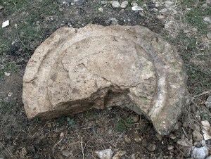 04. Areja pronađena u Ljubuškom