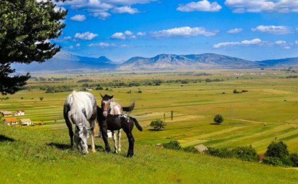 Duvanjsko polje, foto: Matijas Jučević